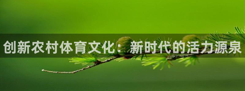 抖球体育直播：创新农村体育文化：新时代的活力源泉