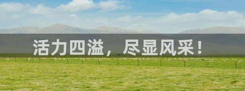 抖球体育：活力四溢，尽显风采！