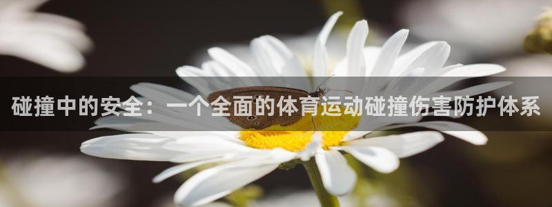 抖球体育