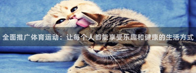 抖球体育直播