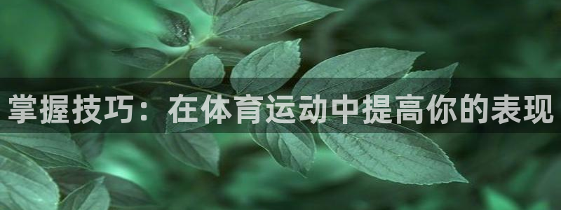 关键词：掌握技巧：在体育运动中提高你的表现