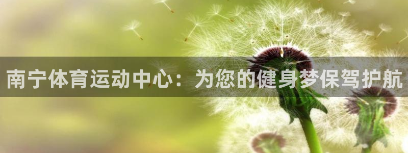 抖球体育直播：南宁体育运动中心：为您的健身梦保驾护航